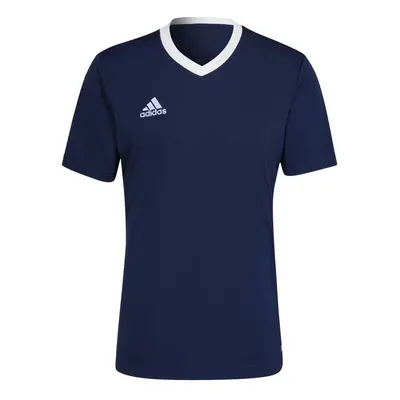 Pánské tričko Adidas T-shirt Entrada 22 M HE1575