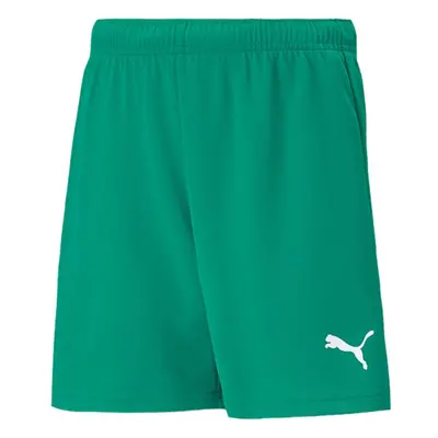 Dětské šortky Team RISEShort Jr 704943 05 - Puma