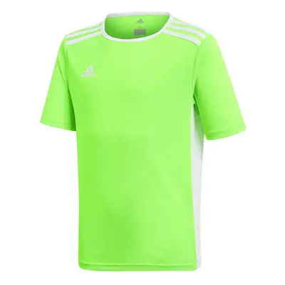 Dětský dres Entrada 18 Jr CE9755 - Adidas