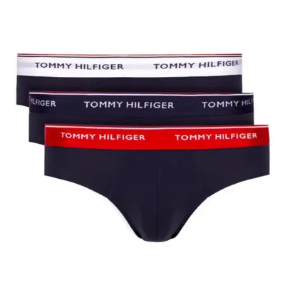 Tommy Hilfiger Spodní prádlo 3P Brief M 1U87903766