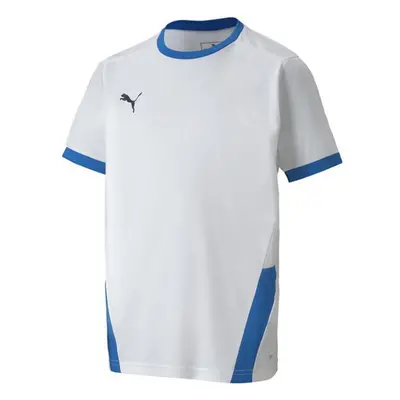 Puma teamGOAL 23 Jersey Jr 704160 12 tričko