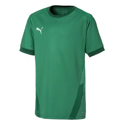 Puma teamGOAL 23 Jersey Jr 704160 05 tričko