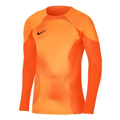 Pánský brankářský dres Gardien IV JSY M DH7967 819 - Nike