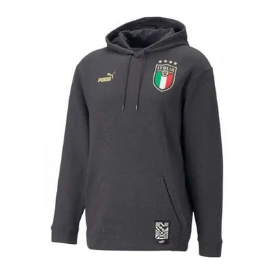 Pánská mikina Puma Figc Ftbl Coulture Hoody M 767136-09