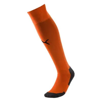 Puma Liga Core Socks fotbalové legíny 703441 08