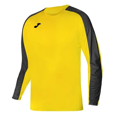 Joma Academy III T-Shirt L/S 101658.901