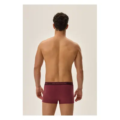 Pánské boxerky JEWEL 3PAK 41931 AW24 BORDO-GREY