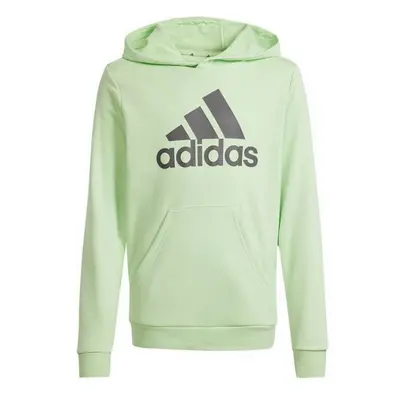 Mikina adidas Big Logo Hoodie Jr IS2591