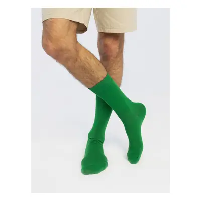 Banana Socks 2Pack Ponožky Essentials Emerald Fields Green