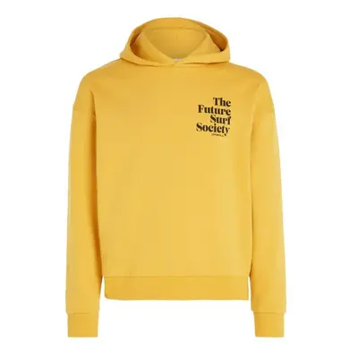 O'Neill Future Surf Society Hoodie W 92800613435