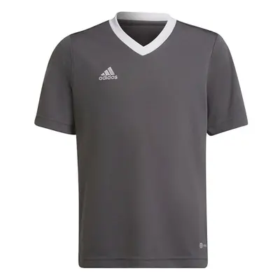 Dětské tričko Adidas Entrada 22 Jsy Jr H57499