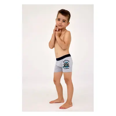 Dětské boxerky KIDS 701 J/24 mélange