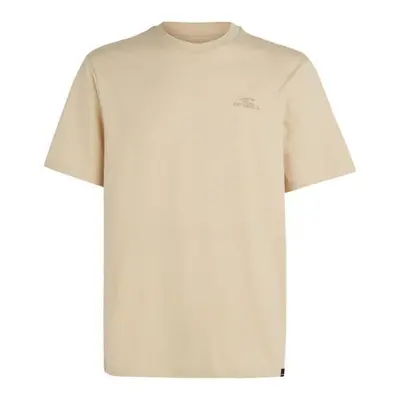 O'Neill Small Logo T-Shirt M 92800613999