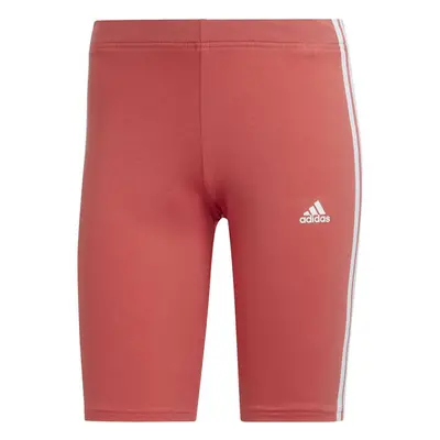 Cyklistické šortky adidas Tight 3-Stripes W HF1862