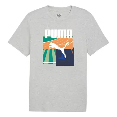 Puma Graphics Summer Sports Tee II M 627909 04 pánské tričko