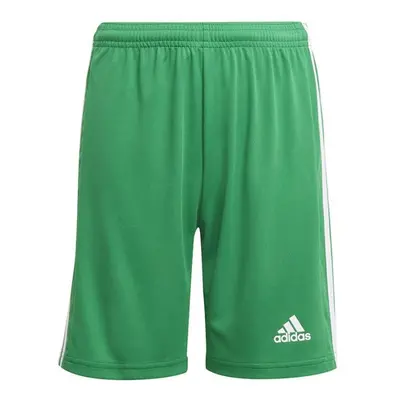 Squadra 21 Short Y Jr GN5762 - Adidas