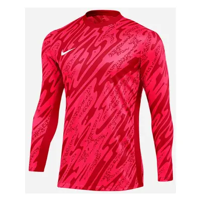 Nike Gardien V Goalkeeper DF V FD7474-644