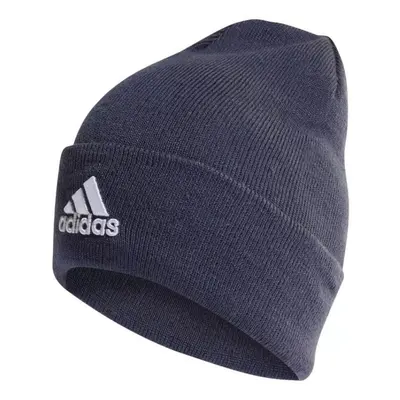 Čepice adidas Logo Woolie HL HL4809