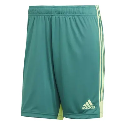 Pánské šortky M Tastigo 19 DP3251 - Adidas