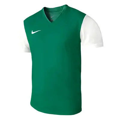 Pánské boty Dri-Fit Tiempo Premier 2 M DH8035 302 - Nike