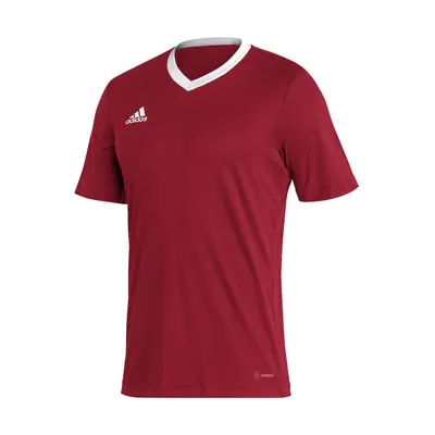 Pánské tričko Adidas T-shirt Entrada 22 M H61736