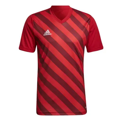 Pánské tričko Adidas Entrada 22 Graphic Jersey M HB0572