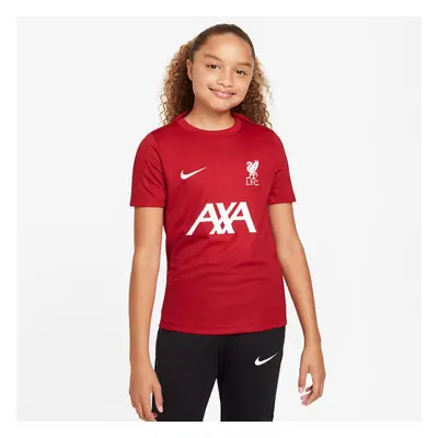 Nike Liverpool FC DF Academy Pro SS Top Jr Shirt FQ2753-688