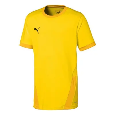 Dres Puma teamGOAL 23 Jr 704160 07