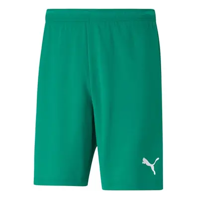 Pánské kraťasy teamRISE Short M 704942 05 - Puma