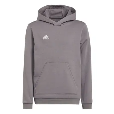 Dětská mikina Adidas Entrada 22 Hoody Jr H57515