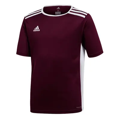 Dětský dres Entrada 18 Jr CE9564 - Adidas