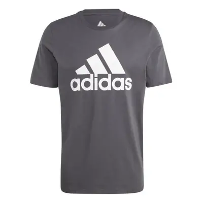 Adidas Essentials Single Jersey Big Logo Tee IQ4742 pánské