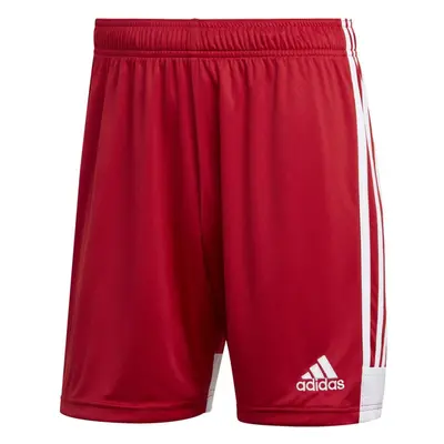 Pánské šortky Tastigo 19 DP3681 - Adidas