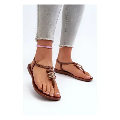 Dámské ploché sandály Ipanema Class Blow Up Sandal Fem Brown