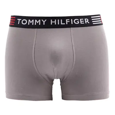 Flex Trunk UM0UM02411-PTM - Tommy Hilfiger