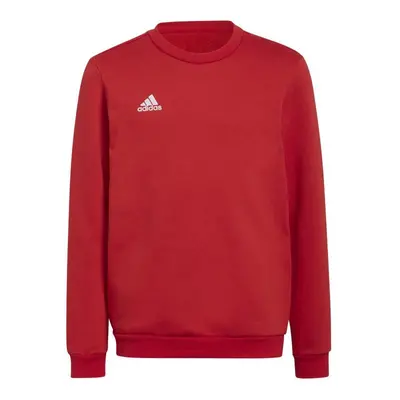 Dětská mikina Entrada 22 Sweat Jr H57473 - Adidas