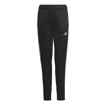 Kalhoty adidas Tiro 23 Club Training Jr IC1588