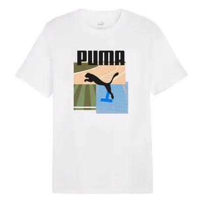 Puma Graphics Summer Sports Tee II M 627909 02 pánské tričko