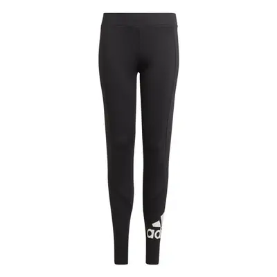 Dívčí legíny D2M Tight Jr GN1438 - Adidas