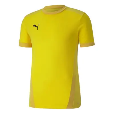 Puma teamGOAL 23 Jersey M 704171 07 pánské dresy