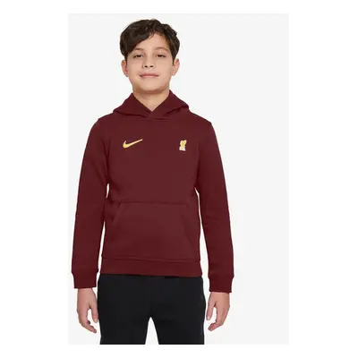 Nike Liverpool FC NSW Club PO Hoodie Jr FZ4149-619