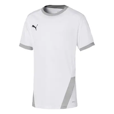 Puma teamGOAL 23 Jersey Jr 704160 04 tričko