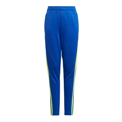 Adidas Squadra 21 Training Pant Youth Jr GP6449