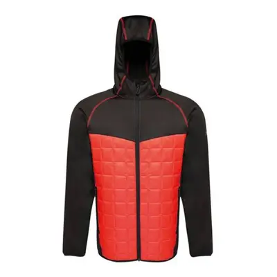 Pánská bunda Regatta Modular Thermal M TRA517 92F