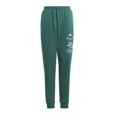 Adidas BLUV Q3 Pant Jr IA1553