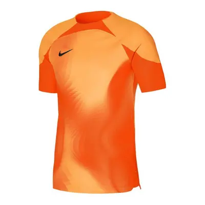 Pánské brankářské tričko Dri-FIT ADV Gardien 4 M DH7760-819 - Nike