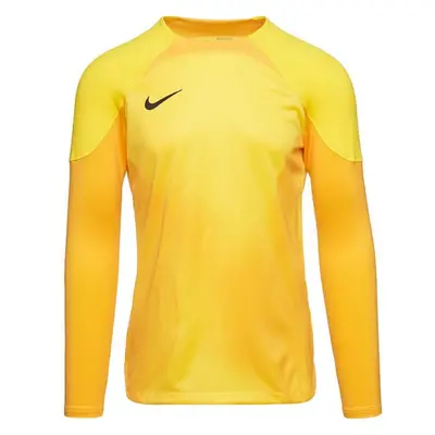 Pánský brankářský dres Gardien IV JSY M DH7967 719 - Nike