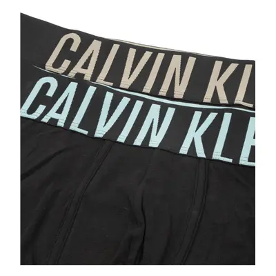 Pánské boxerky 2pack NB2602A 6HF černá - Calvin Klein černá