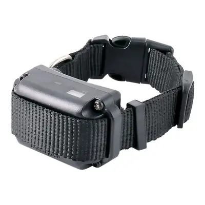 E-Collar BP 504