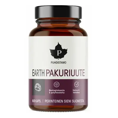 Puhdistamo Earth Chaga BIO 60 cps